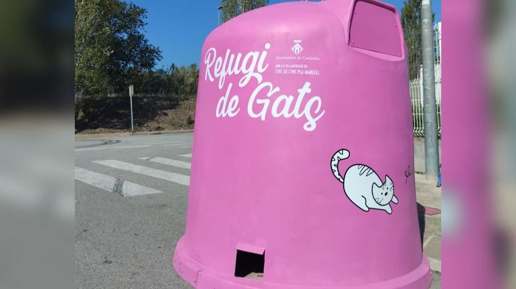 Refugio para gatos en Cardedeu