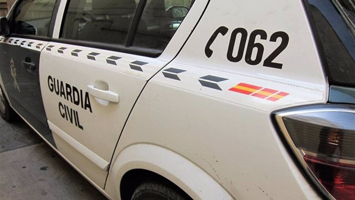 La Guardia Civil ha detenido al presunto ladrón