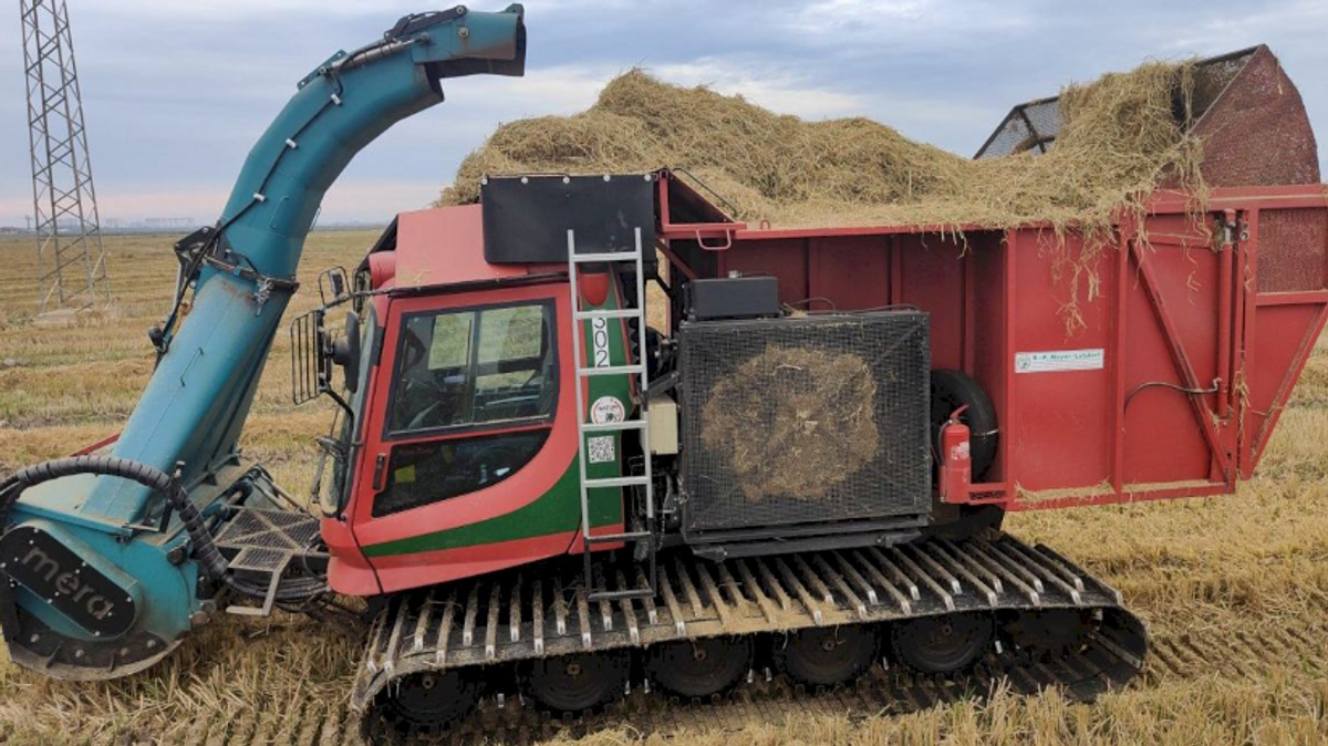 Máquina quitanieves para recoger la paja del arroz