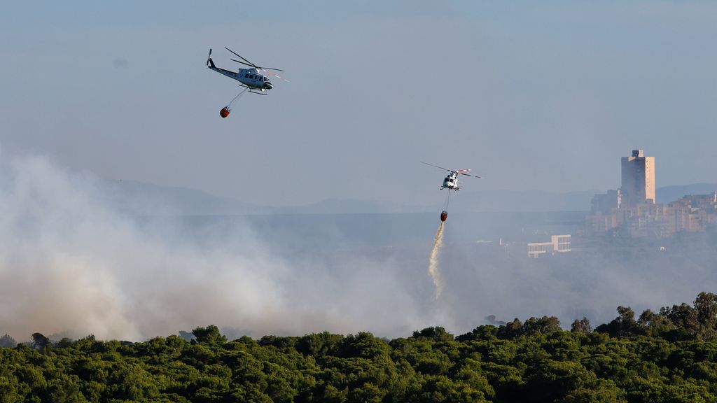 Incendio en el Saler de Valencia: Una veintena de dotaciones de bomberos trabaja en el fuego