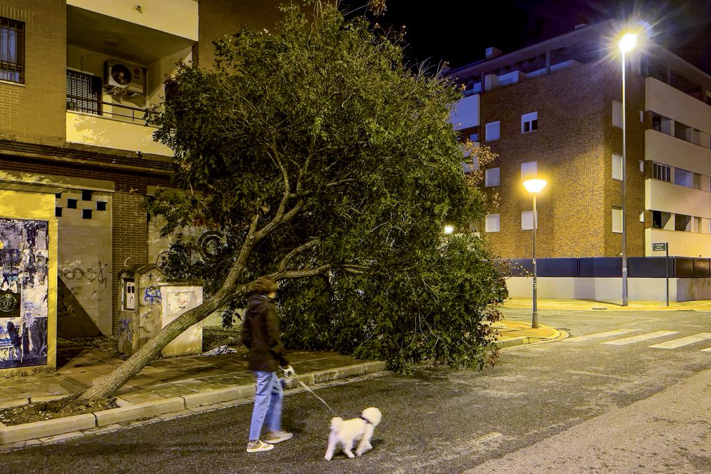 Los daños que ha causado la borrasca Bernard a su paso por Andalucía, en imágenes