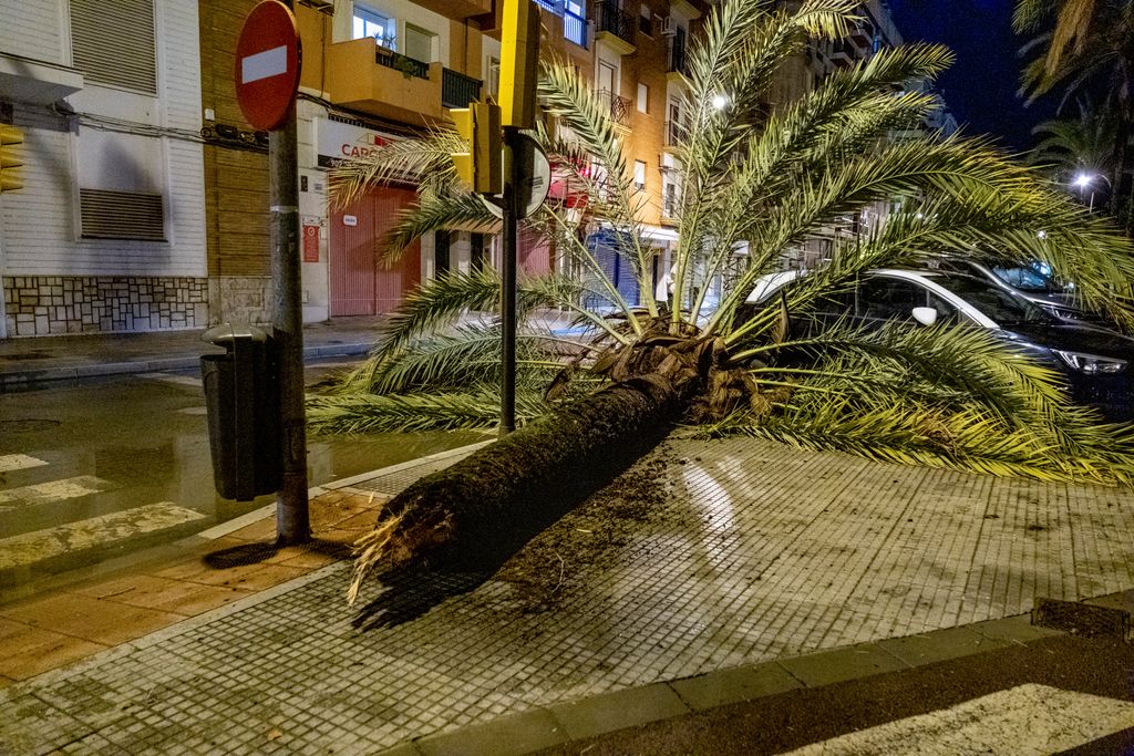 Los daños que ha causado la borrasca Bernard a su paso por Andalucía, en imágenes