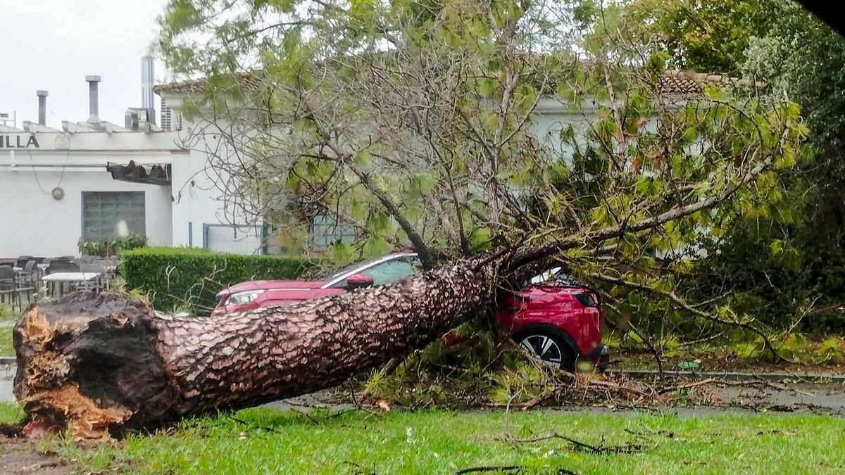 La borrasca Bernard deja otro muerto en Córdoba: ya son dos los fallecidos por el temporal