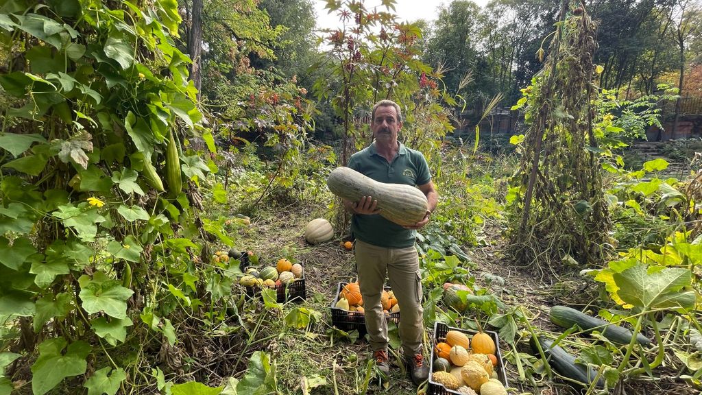 Expo Calabazas. Eustaquio Bote scaled