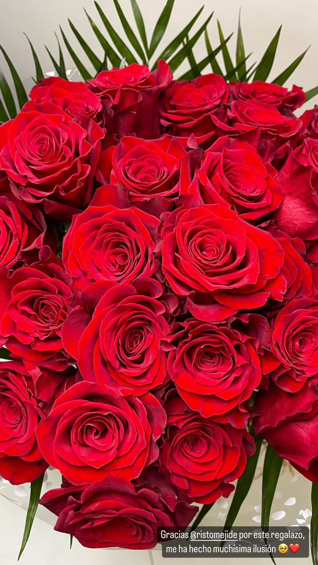 Risto regala un ramo de rosas rojas a Natalia Almarcha por su cumpleaños