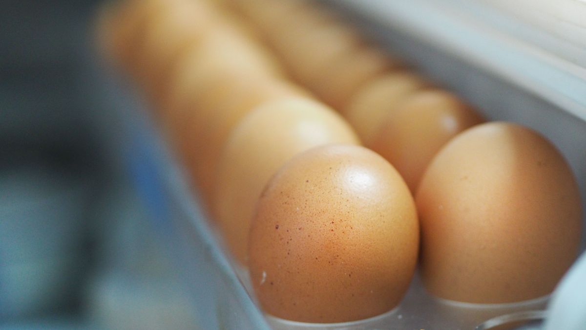 Los beneficios para la salud de los huevos: un estudio señala que es bueno comer hasta tres al día