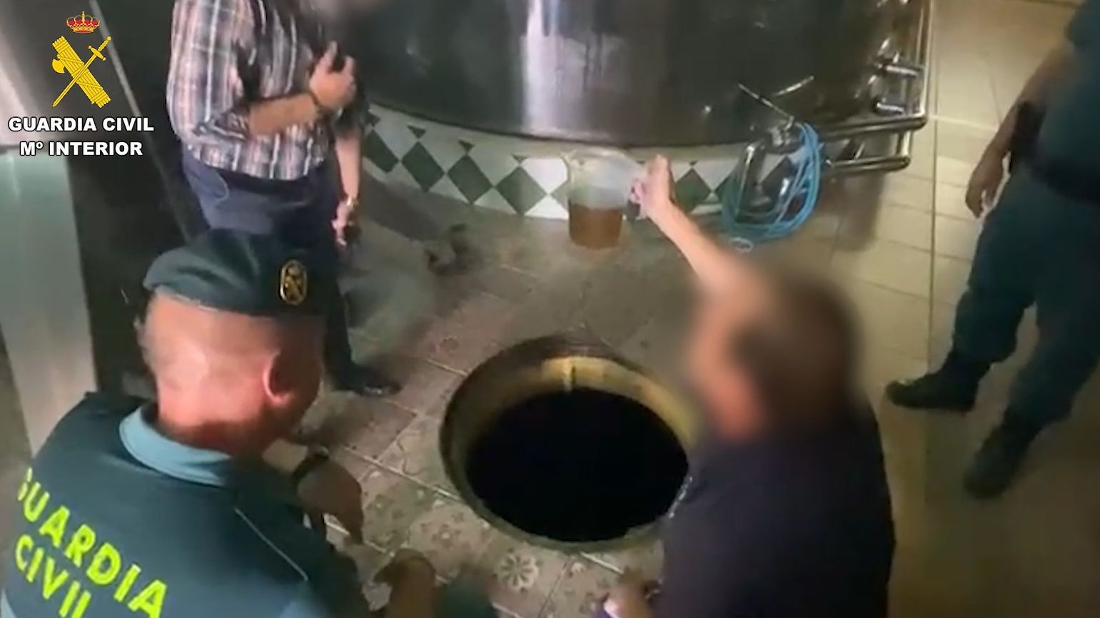 Inspección de aceite en una almazara en Córdoba