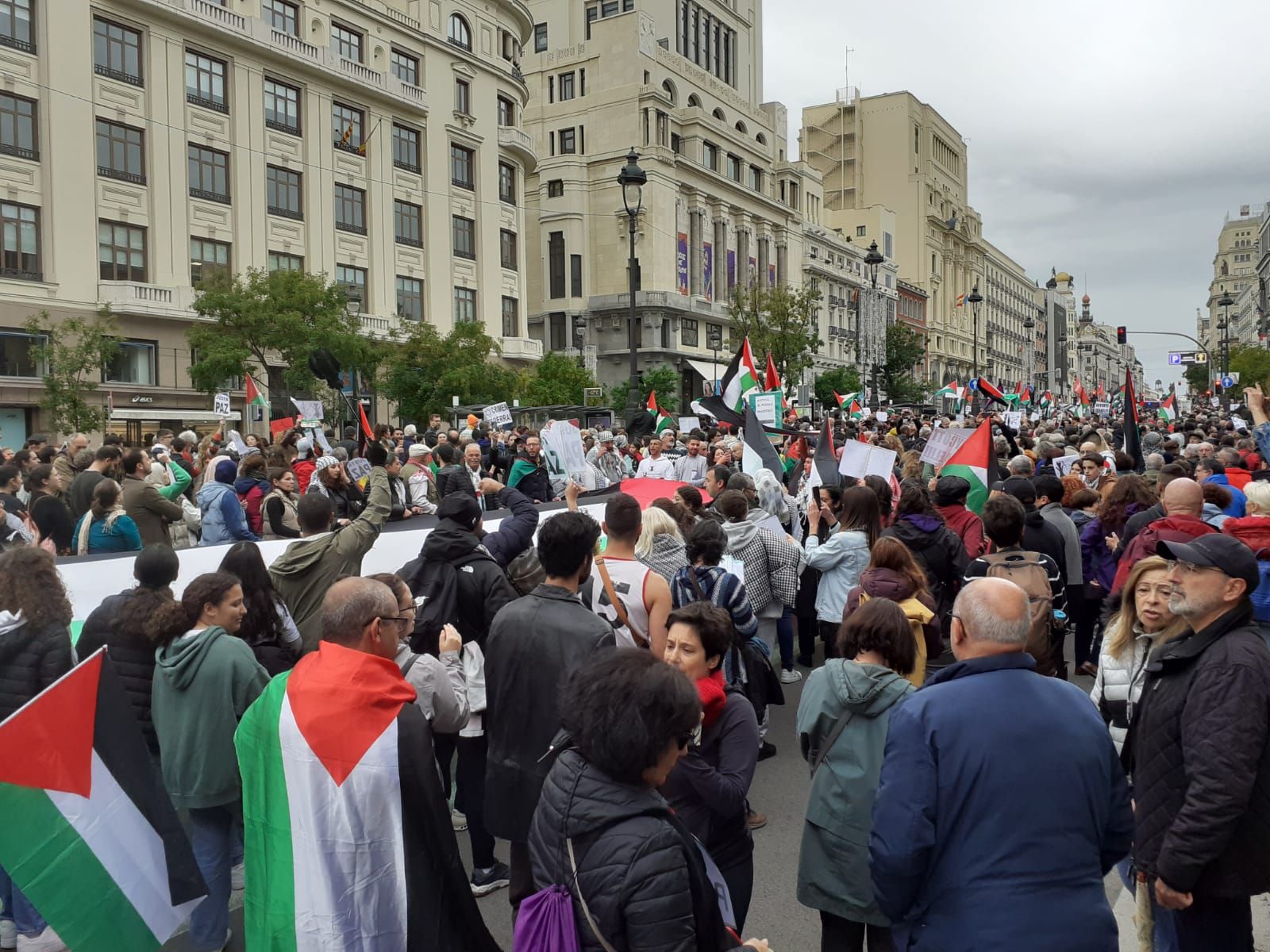 Manifestación por Palestina en Madrid bajo el lema 'No a la barbarie. No a la guerra. Alto el fuego', en imágenes