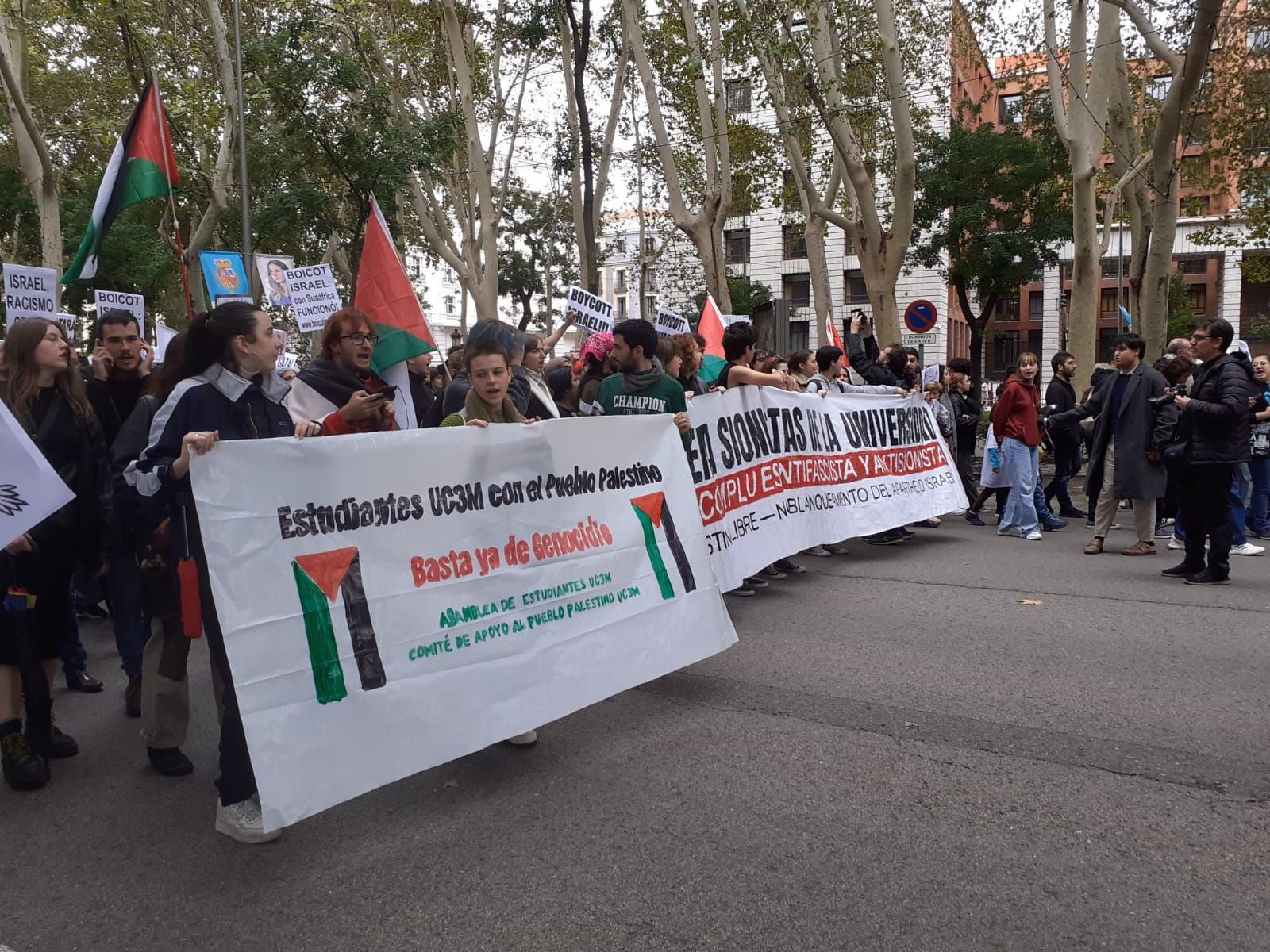 Manifestación por Palestina en Madrid bajo el lema 'No a la barbarie. No a la guerra. Alto el fuego', en imágenes