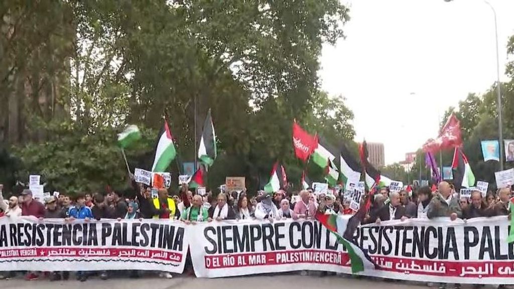 Miles de personas llenan las calles en España en defensa de Palestina