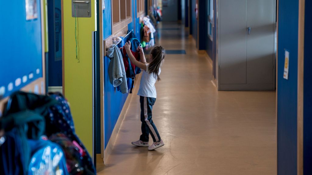 La presencia del mosquito tigre en un colegio de Vigo ha obligado a tomar medidas de urgencia