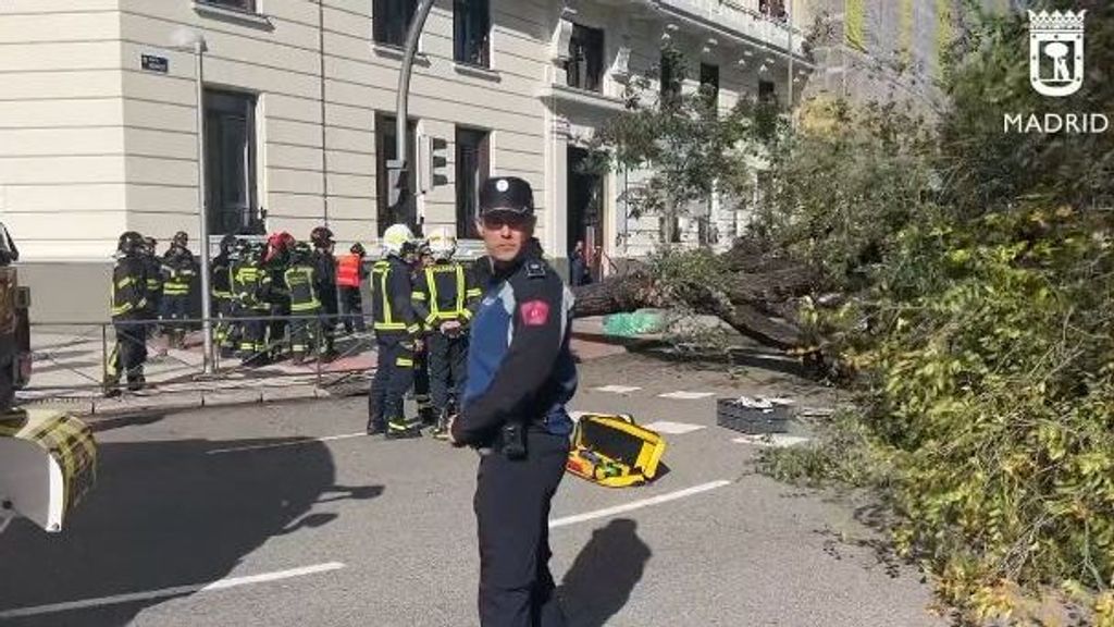 El árbol cayó sobre la joven que cruzaba la calle en un paso de peatón en Chamberí, Madrid