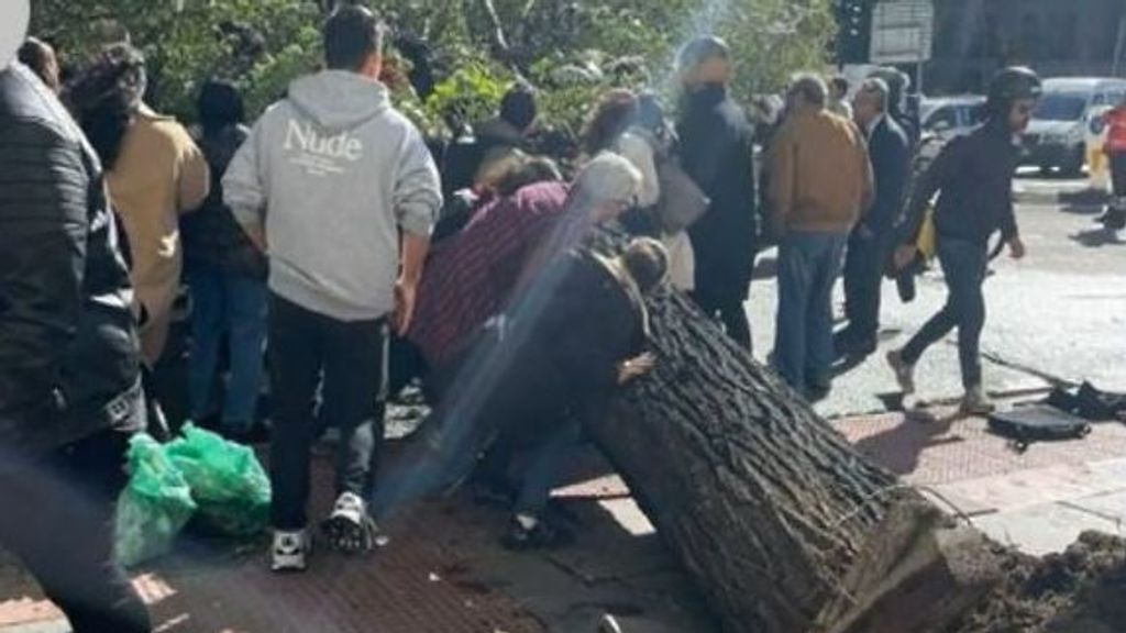 El pánico tras la caída del árbol que ha matado a una joven en Madrid: "La gente corría"