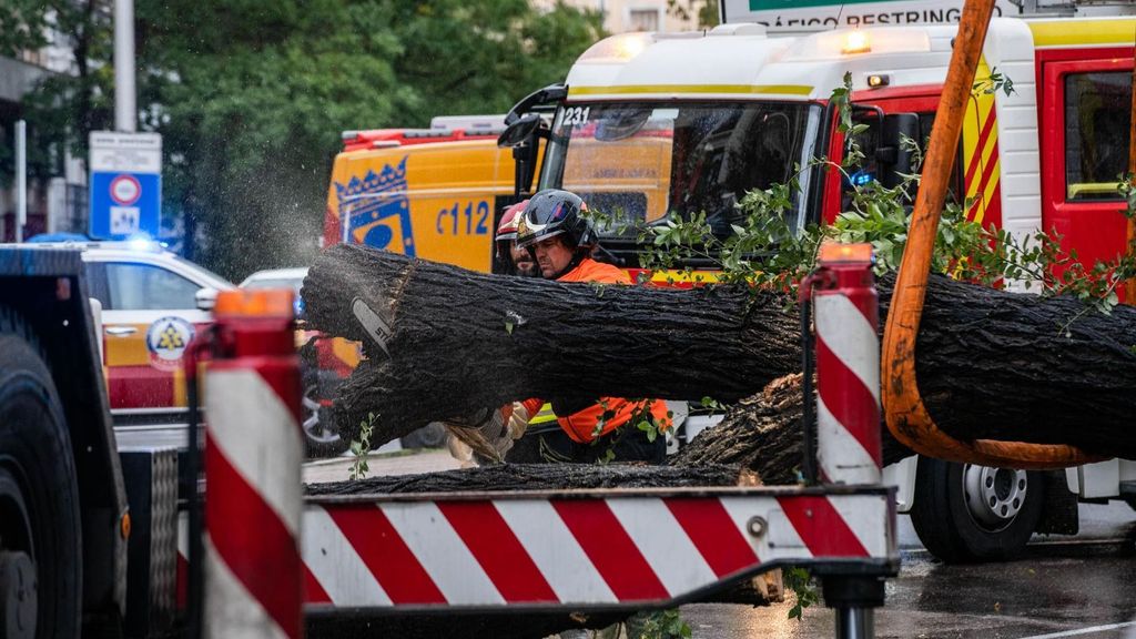 Almagro, barrio donde murió una joven en plena borrasca Ciarán, la zona con más árboles con riesgo de accidente en Madrid
