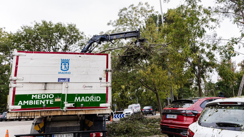 Madrid registra nuevos incidentes este viernes por la caída de árboles y ramas