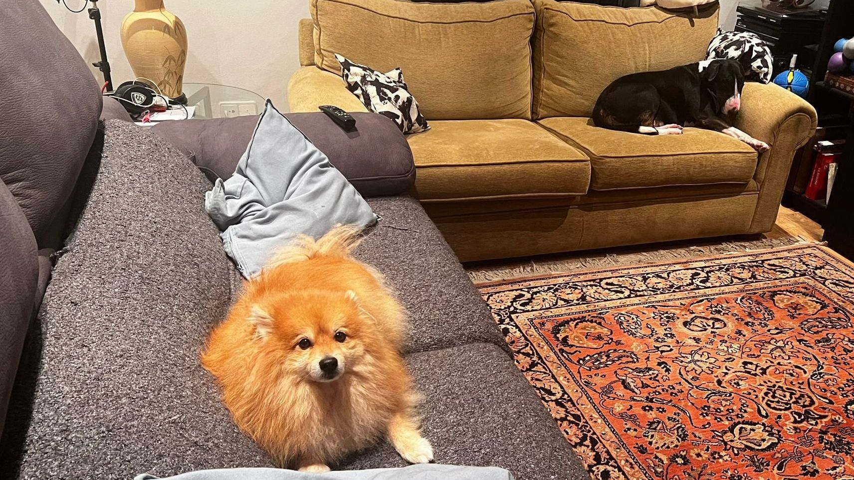 'Lola' y 'León', de nuevo, como en casa con Isidro