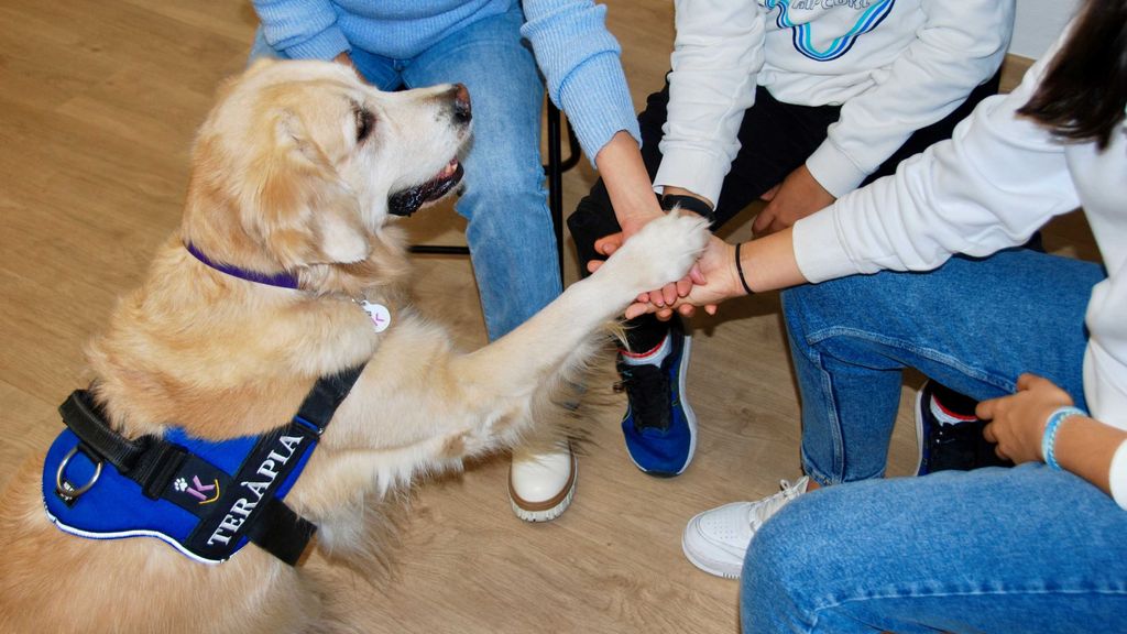 Un estudio confirma los beneficios de la terapia asistida con perros para adolescentes con trastornos mentales