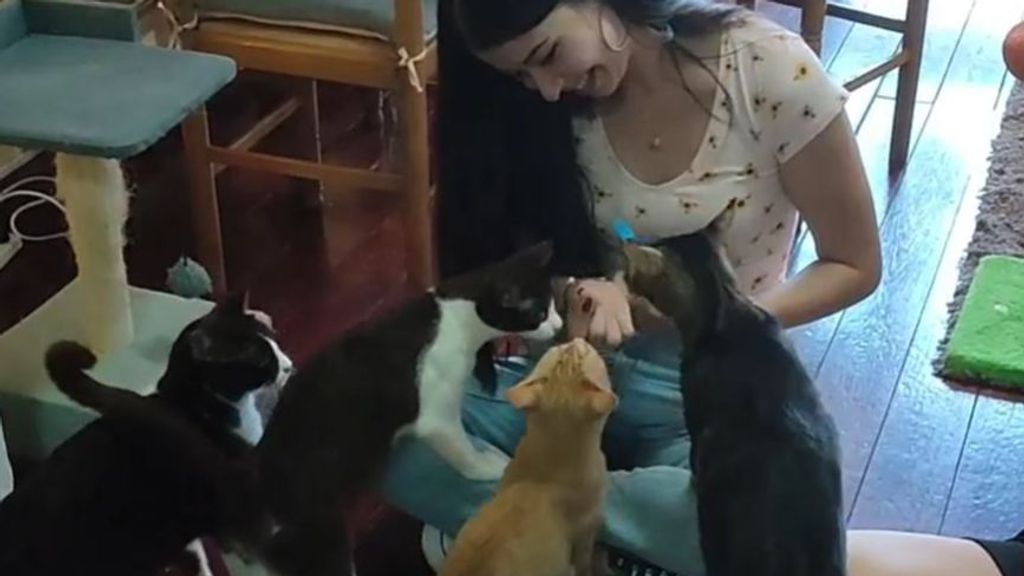 Una clienta en la cafetería con los gatos