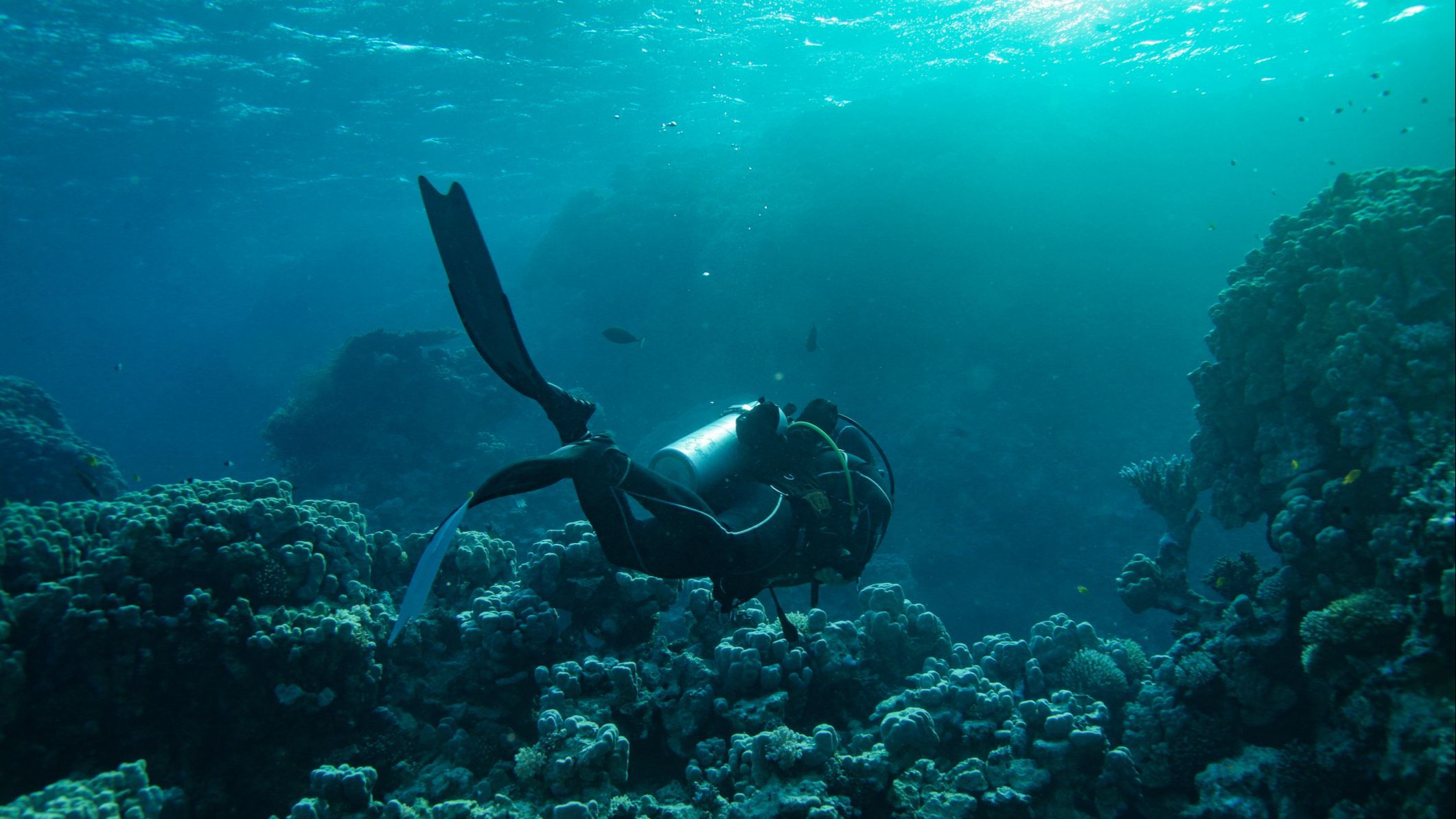 Muere una enfermera española que hacía turismo en Bali tras realizar dos inmersiones de buceo