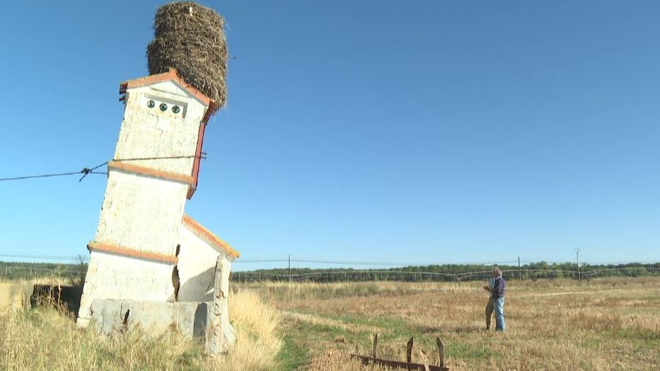 El curioso nido de cigüeña del sur de Burgos