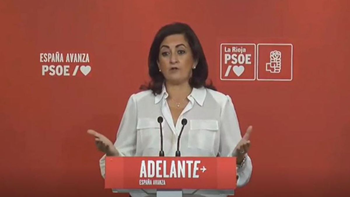 La reacción del PSOE a la manifestación contra la amnistía de Madrid