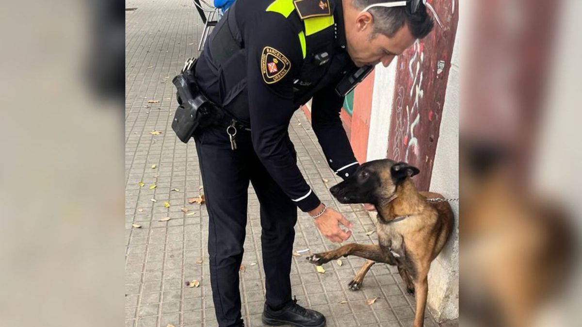 Rescate de un perro en Barcelona