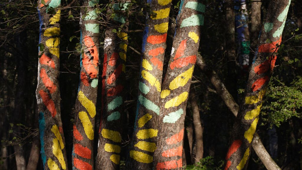 El bosque intervenido por Ibarrola se ha convertido en emblema y puede visitarse desde hace un mes.