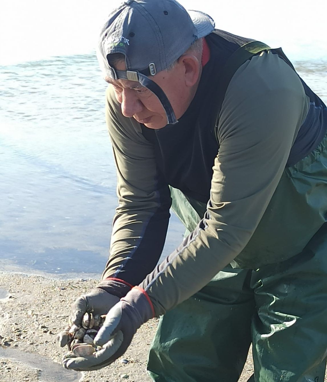 Un mariscador de Combarro muestra un puñado de almejas muertas