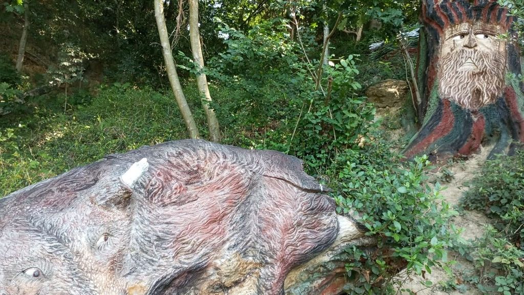 Así lucía el bosque a principios de verano