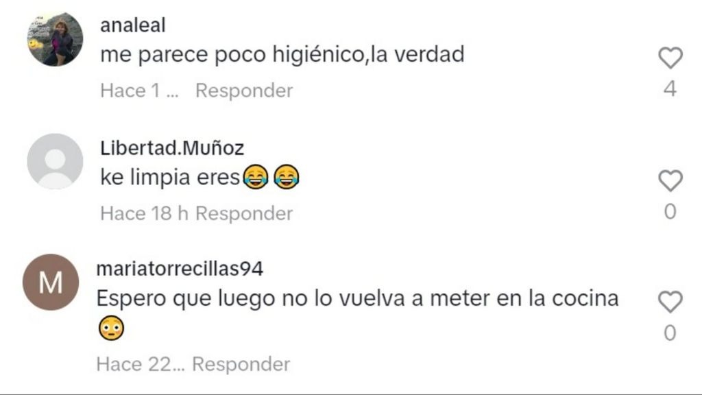 Críticas a Raquel Salazar