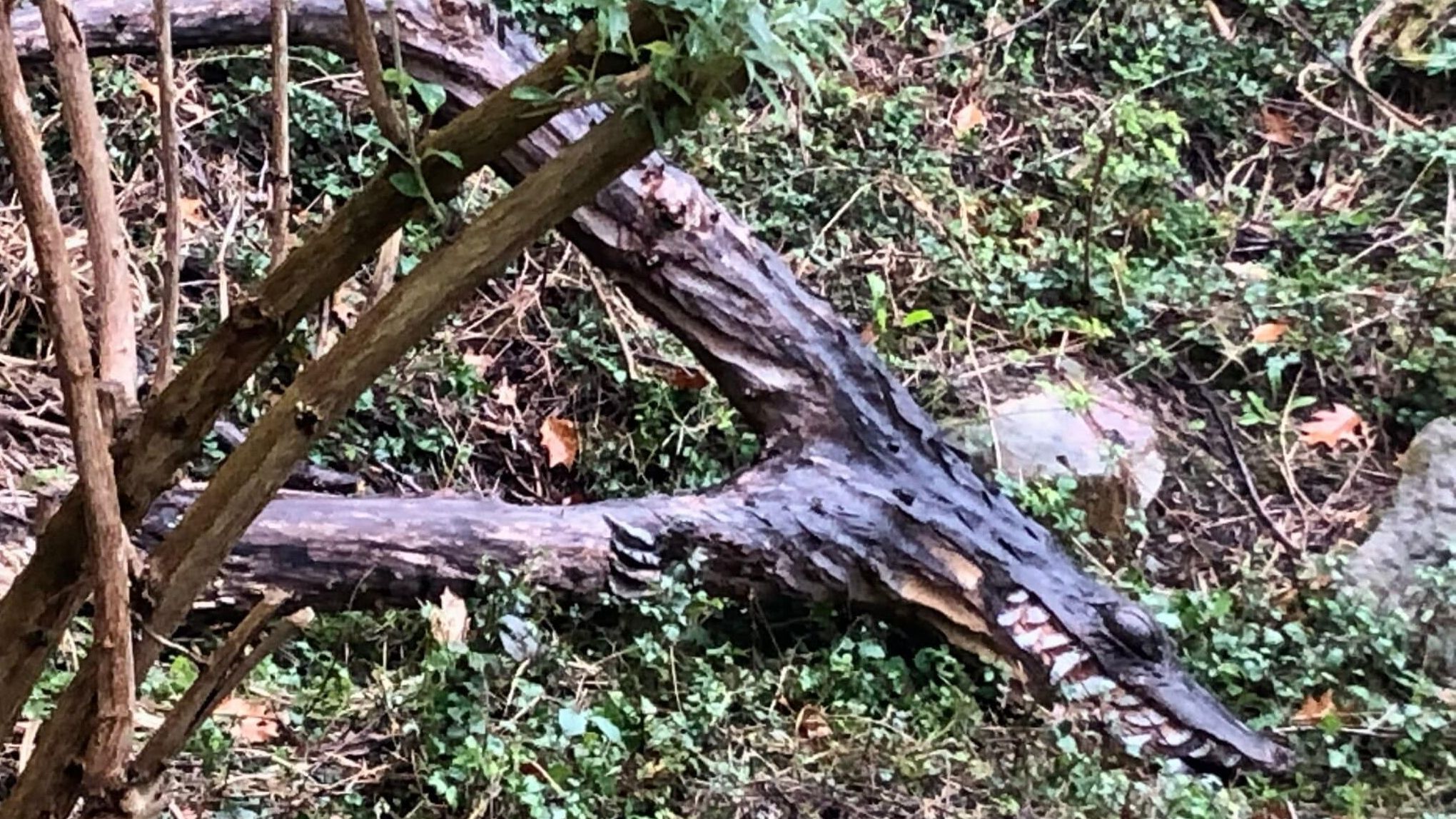 Esculturas destrozadas esta misma mañana