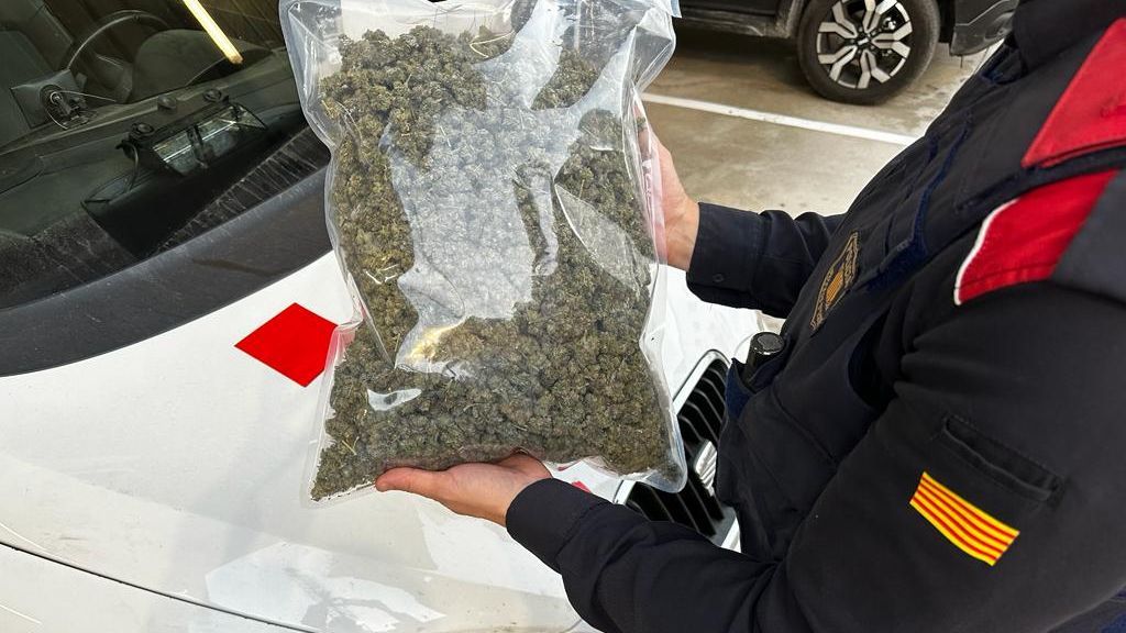 La marihuana que llevaba el hombre en el interior de la mochila