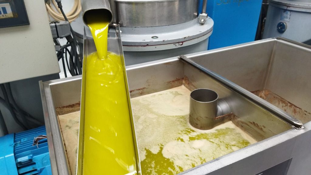 Aceite de oliva en una cooperativa