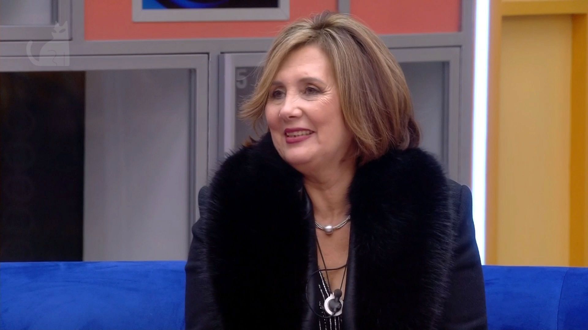 Moleskine del gato - GH VIP - 49