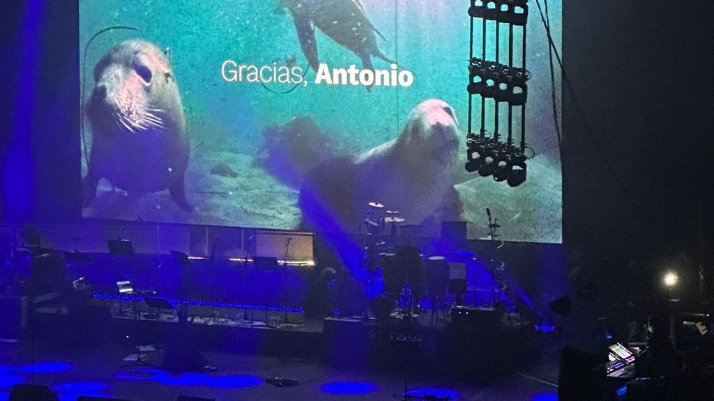 La impresionante actuación de Alba Flores en el concierto homenaje a su padre: "Antonio Flores sigue estando presente"