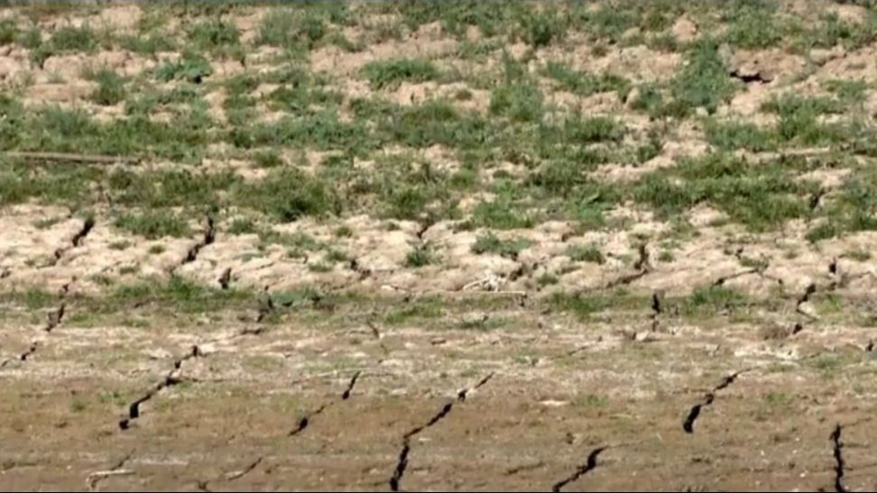 El Rincón de la Victoria, en Málaga, sufre una sequía extrema