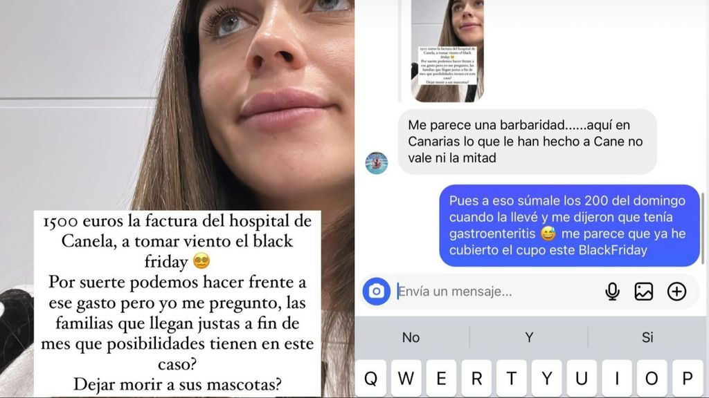 Violeta Mangriñán lamenta el dineral que se ha gastado en la operación de su perra