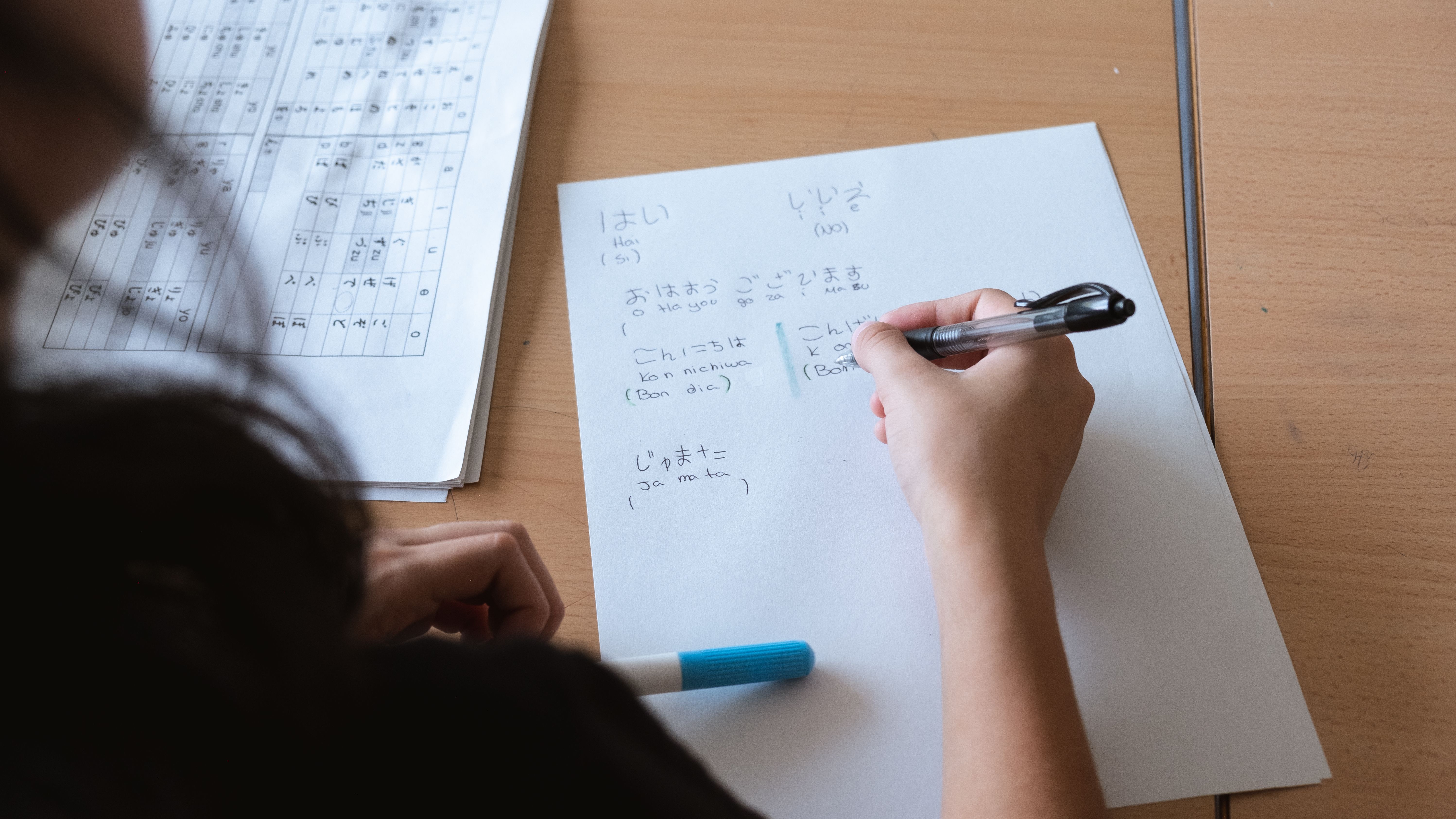 Instituto Montserrat Roig de Sant Andreu de la Barca (Barcelona)