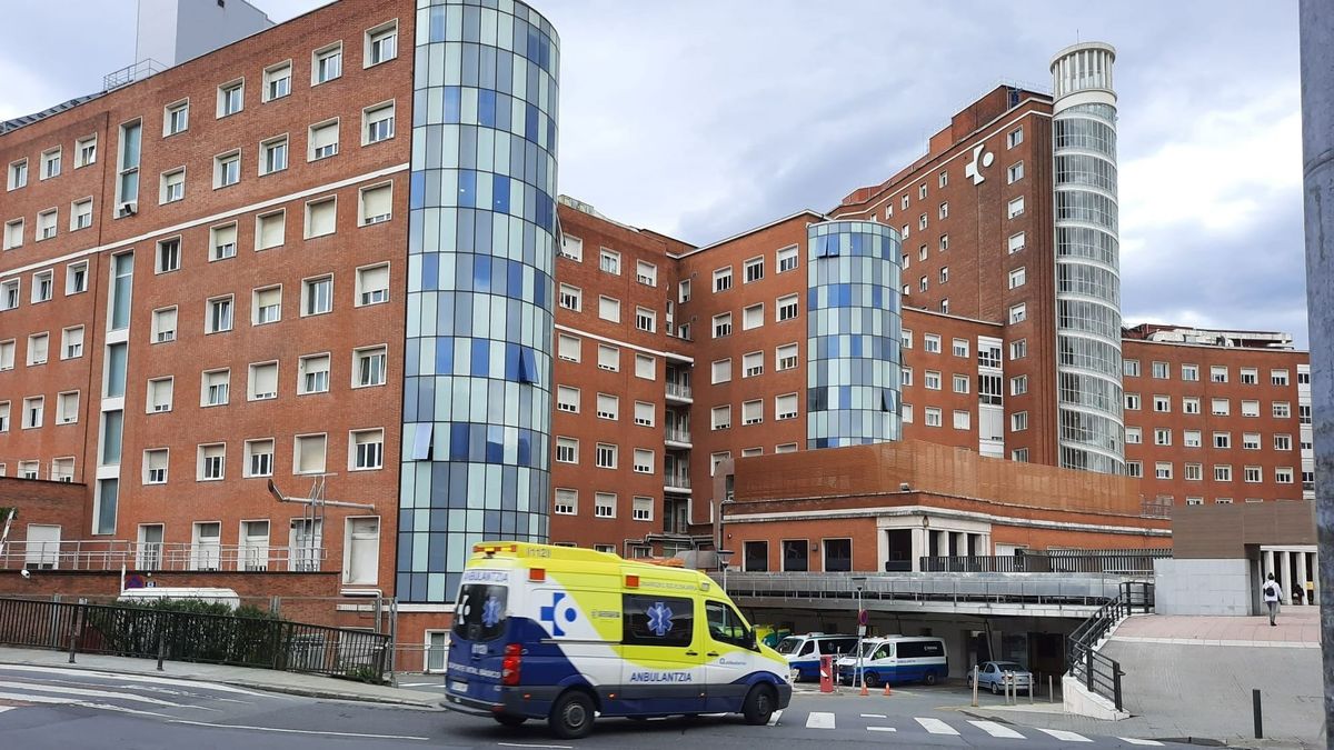 Hospital de Cruces, en Barakaldo (Bizkaia)