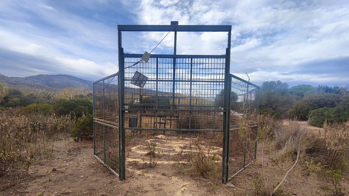 Jaulas instaladas en Oropesa del Mar