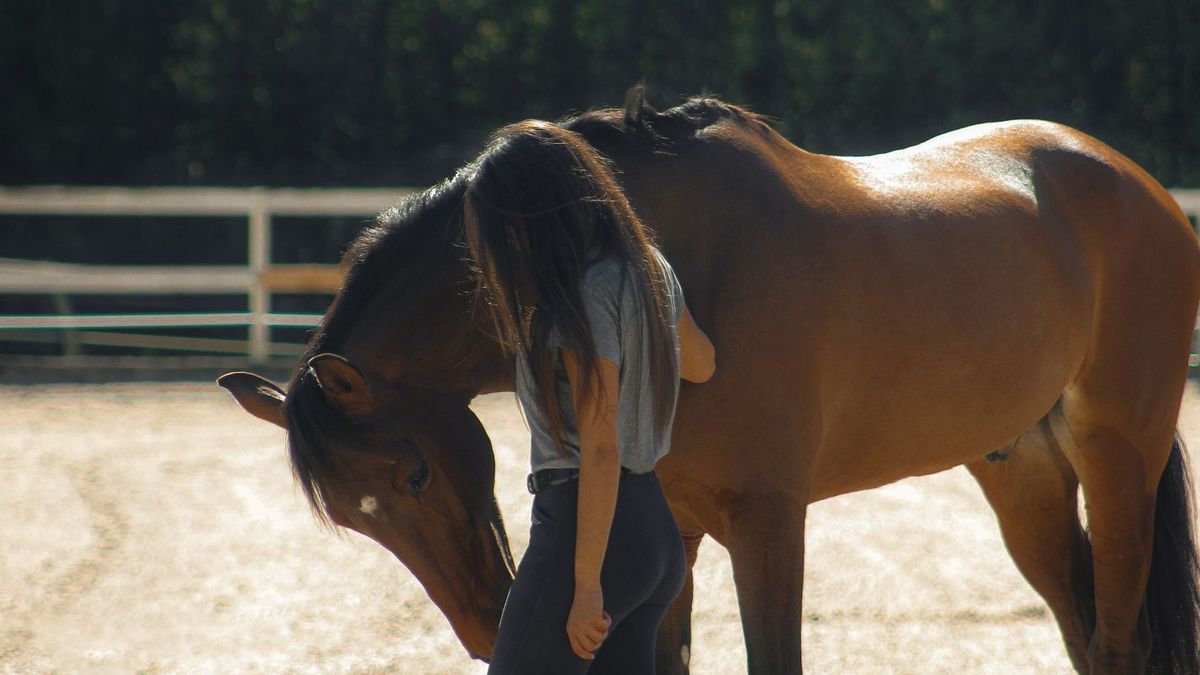 Uno de los caballos que participan en las terapias con niños en Urduliz