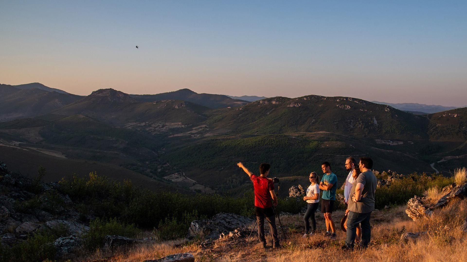 Archivo - Observación de aves en vuelo en Extremadura