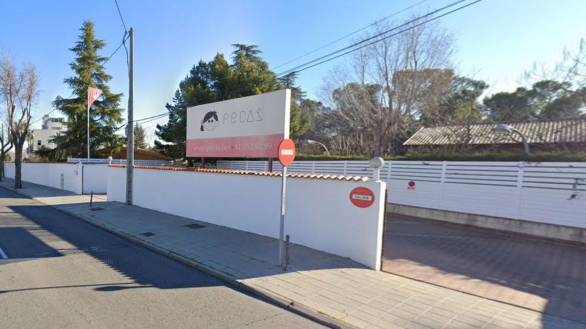 Escuela infantil Pecas, en Pozuelo de Alarcón