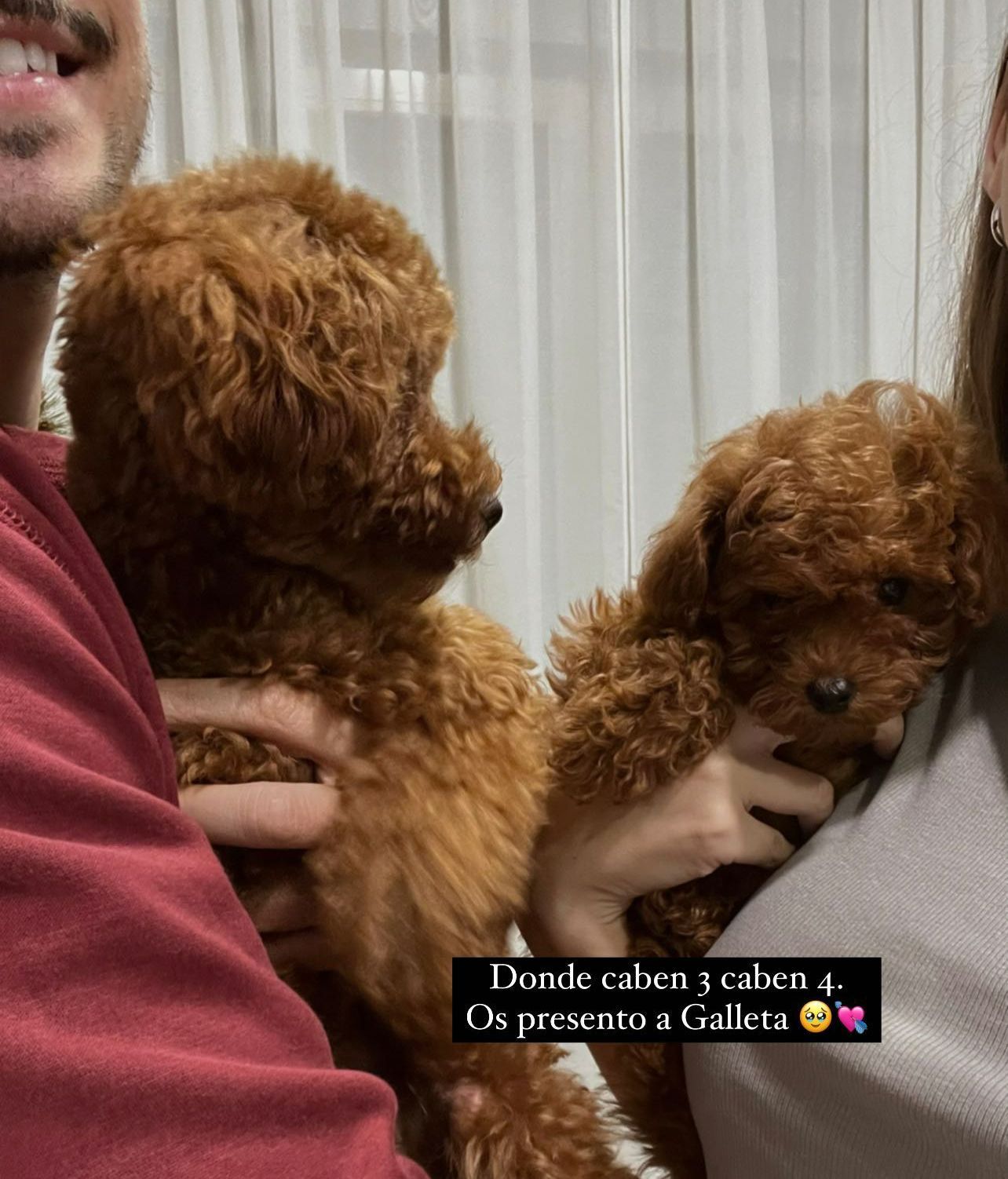 Marina García y Jesús Sánchez presentan al nuevo miembro de su familia