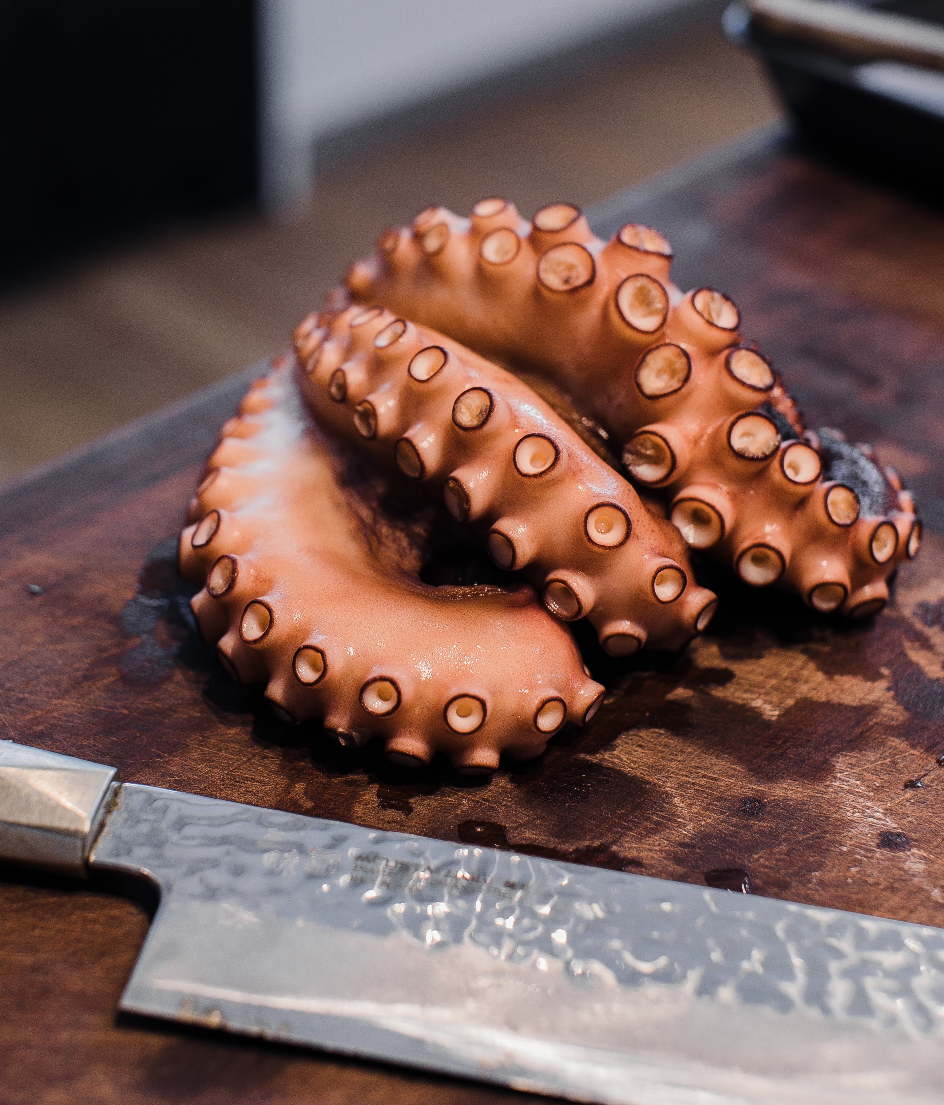 Haz la clásica empanada con pulpo. FUENTE: Pexels