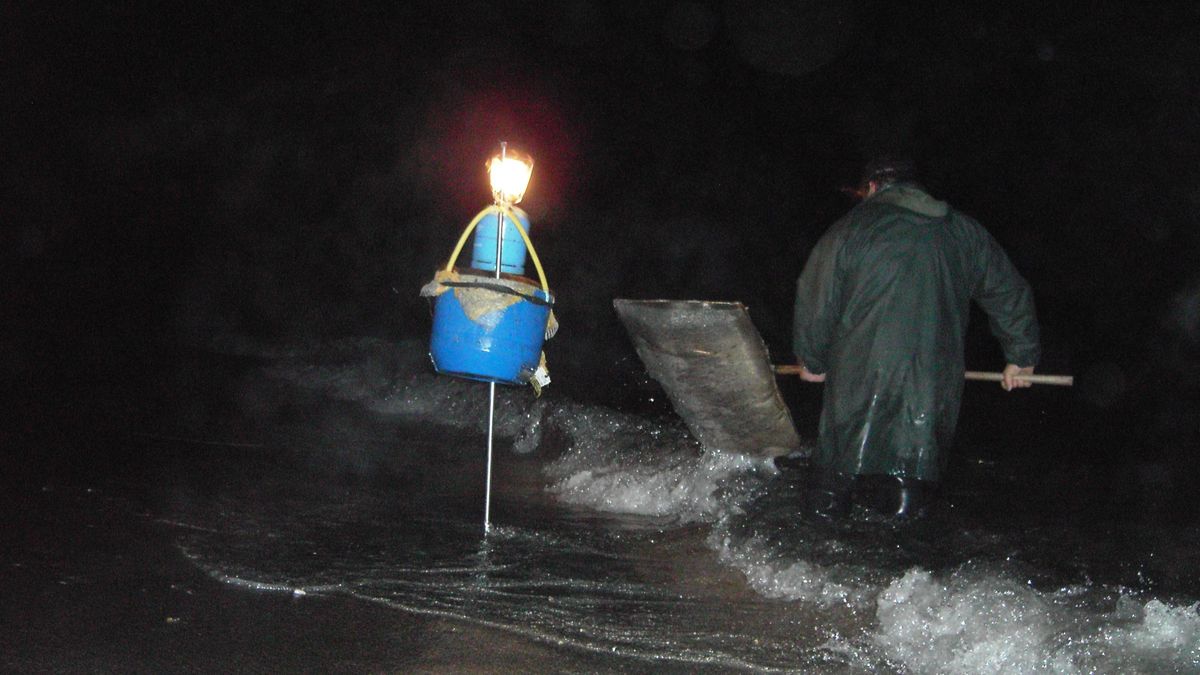 Pesca de la angula