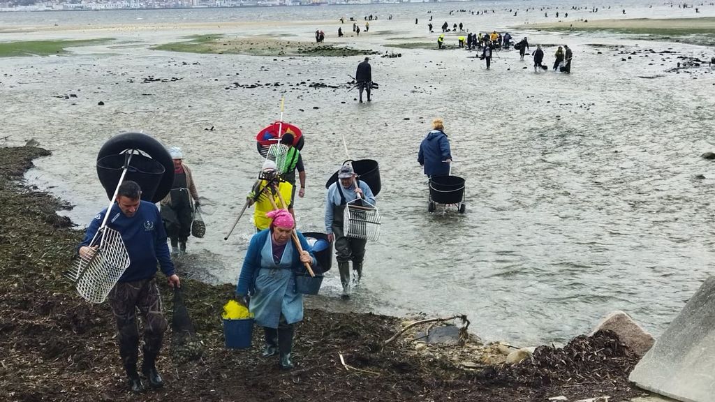 Mariscadores y mariscadoras de Poio vuelven a casa después de una dura jornada de trabajo