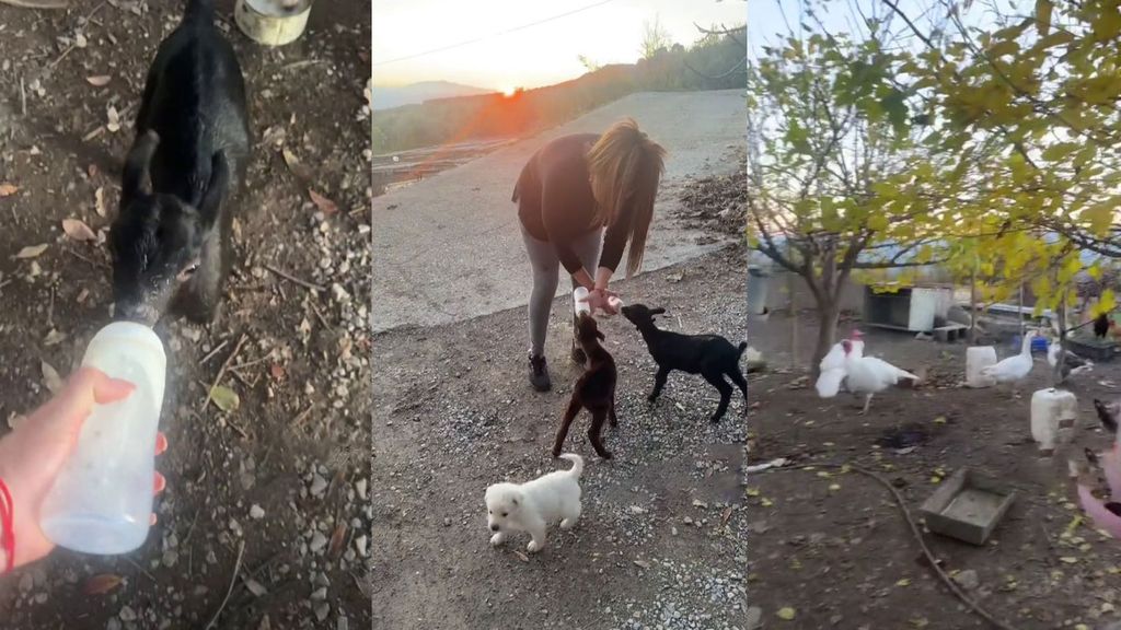 Yaiza Martín, alimentando a los animales de su granja y a su nueva cabra
