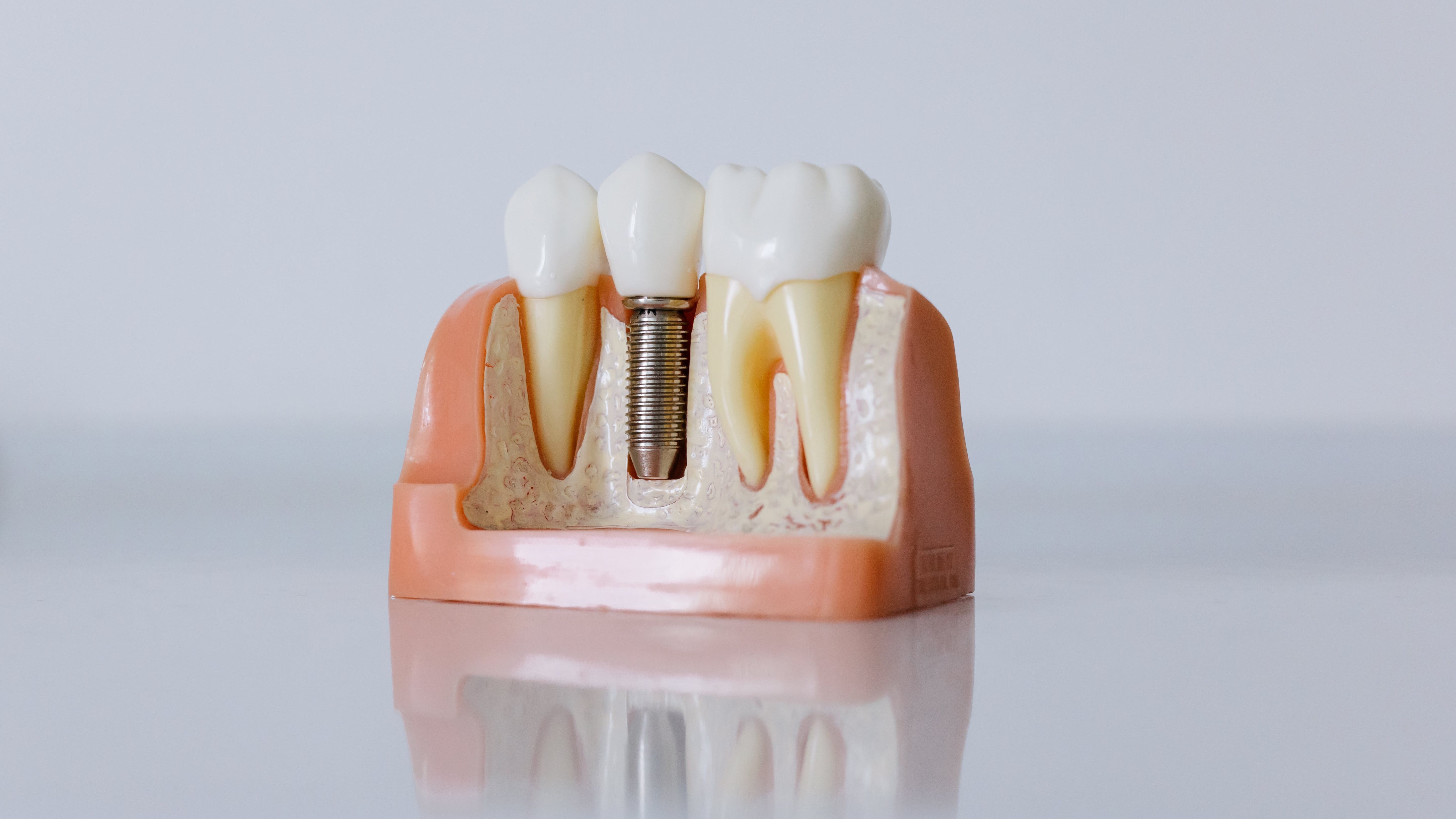 pexels cottonbro studio 6502305