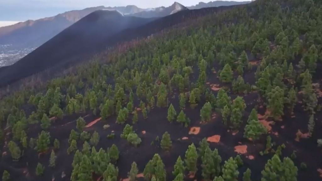 Dos años del apagón del volcán de La Palma: así se encuentra la zona